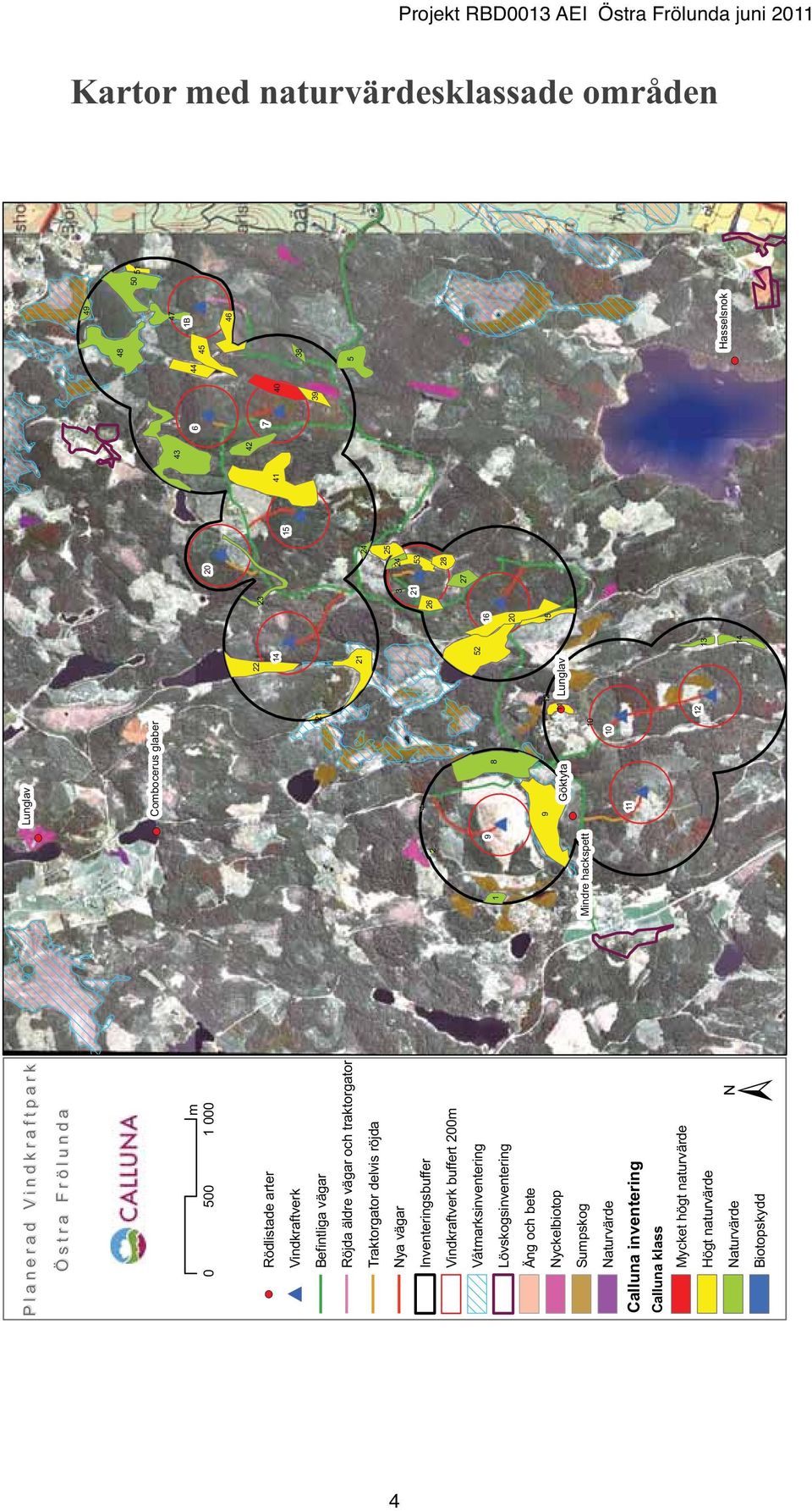 Sumpskog Naturvärde Calluna inventering Calluna klass Mycket högt naturvärde Högt naturvärde Naturvärde Biotopskydd 2 9 1 Mindre hackspett Lunglav Combocerus