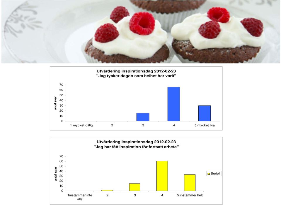 Inspirationsdag 2012-02-23 "Jag har fått inspiration för fortsatt arbete" antal