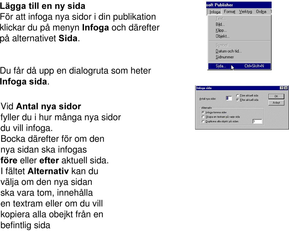 Vid $QWDOQ\DVLGRU fyller du i hur många nya sidor du vill infoga.