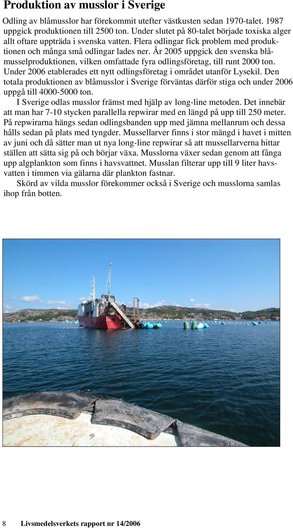 År 2005 uppgick den svenska blåmusselproduktionen, vilken omfattade fyra odlingsföretag, till runt 2000 ton. Under 2006 etablerades ett nytt odlingsföretag i området utanför Lysekil.