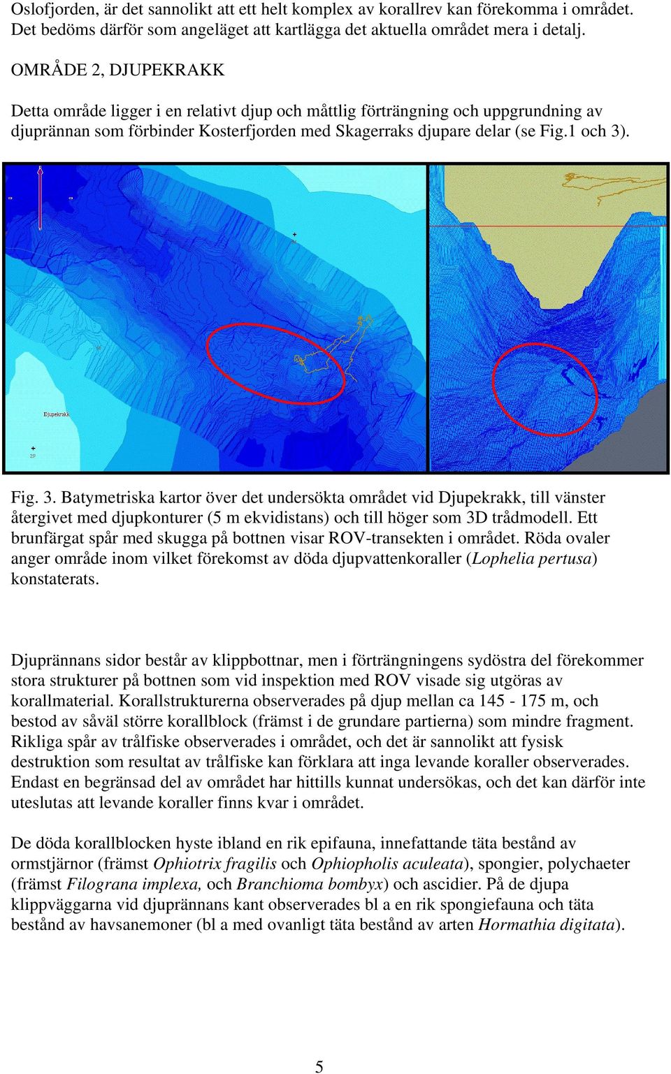 . Fig. 3. Batymetriska kartor över det undersökta området vid Djupekrakk, till vänster återgivet med djupkonturer (5 m ekvidistans) och till höger som 3D trådmodell.