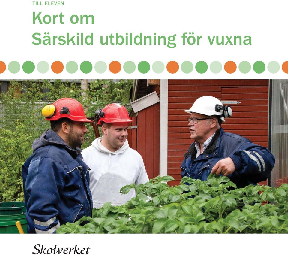 Särskild