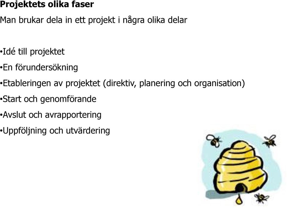 av projektet (direktiv, planering och organisation) Start och
