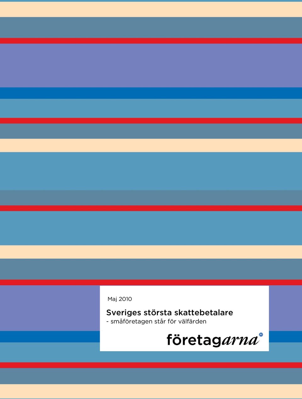 skattebetalare -