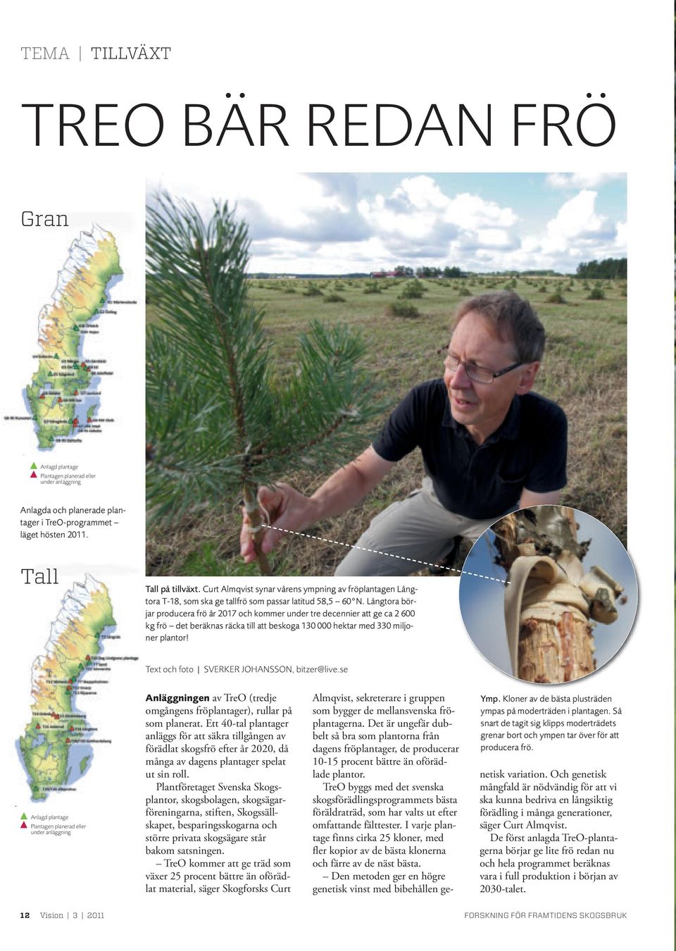 Långtora börjar producera frö år 2017 och kommer under tre decennier att ge ca 2 600 kg frö det beräknas räcka till att beskoga 130 000 hektar med 330 miljoner plantor!