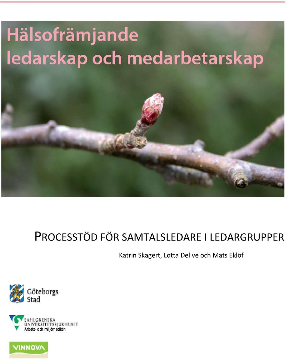 LEDARGRUPPER Katrin