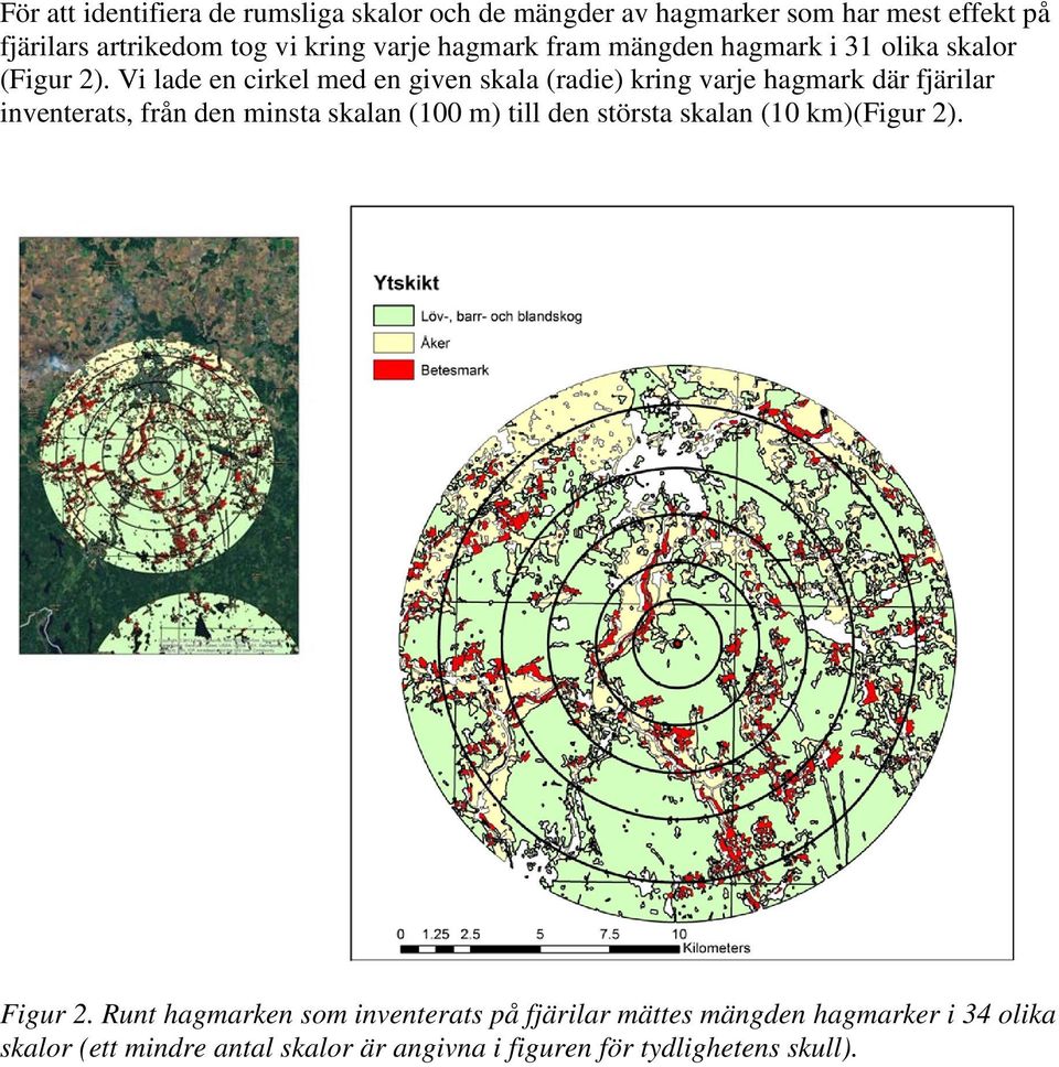 Vi lade en cirkel med en given skala (radie) kring varje hagmark där fjärilar inventerats, från den minsta skalan ( m) till den