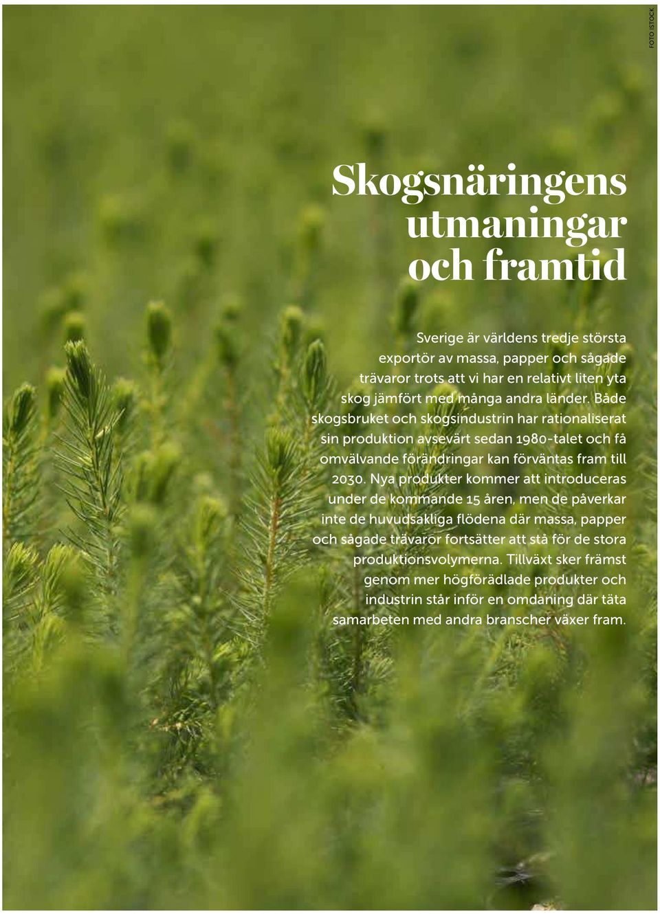 Både skogsbruket och skogsindustrin har rationaliserat sin produktion avsevärt sedan 1980-talet och få omvälvande förändringar kan förväntas fram till 2030.