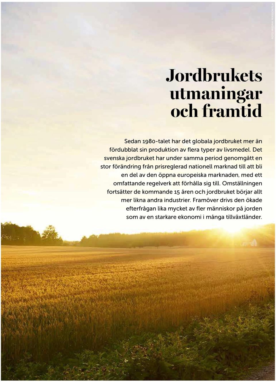 Det svenska jordbruket har under samma period genomgått en stor förändring från prisreglerad nationell marknad till att bli en del av den öppna