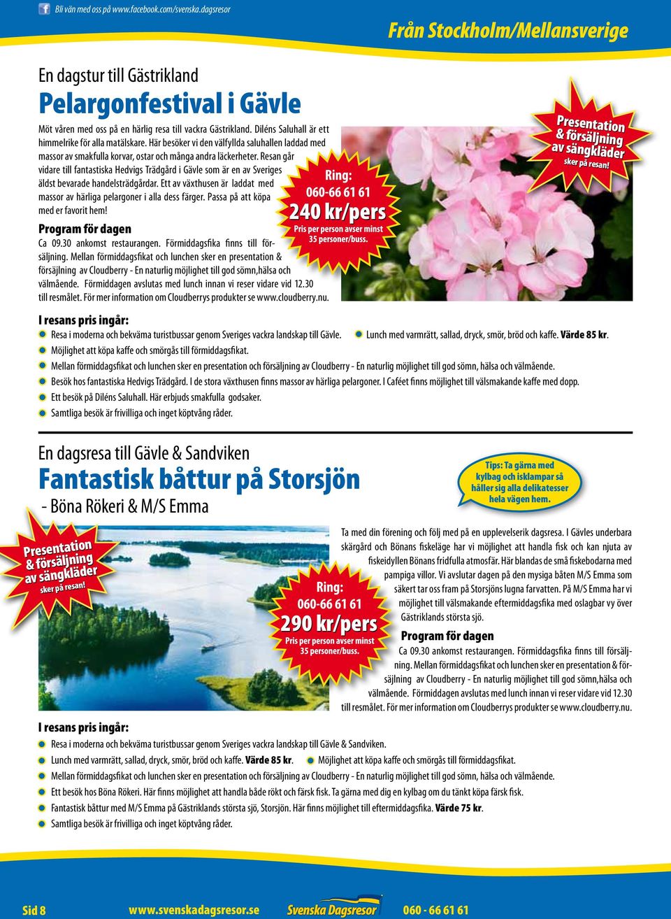 Resan går vidare till fantastiska Hedvigs Trädgård i Gävle som är en av Sveriges äldst bevarade handelsträdgårdar. Ett av växthusen är laddat med massor av härliga pelargoner i alla dess färger.
