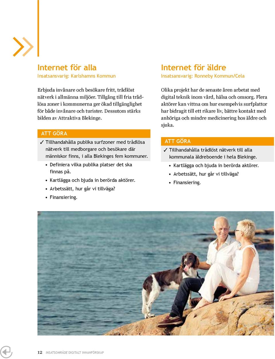 ATT göra Tillhandahålla publika surfzoner med trådlösa nätverk till medborgare och besökare där finnas på.