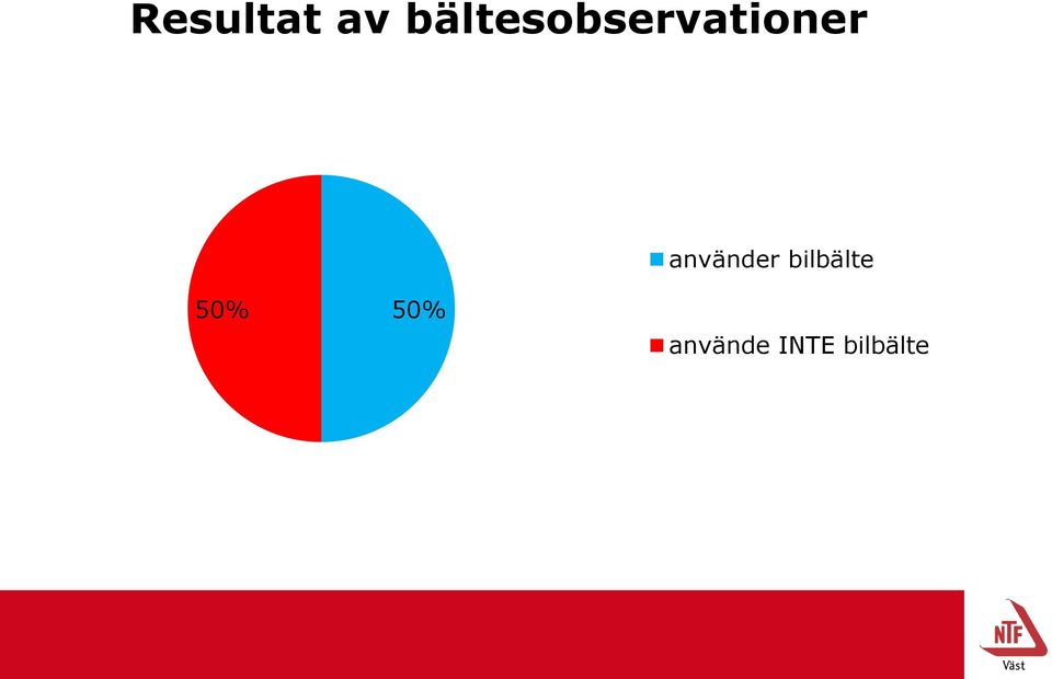 använder bilbälte