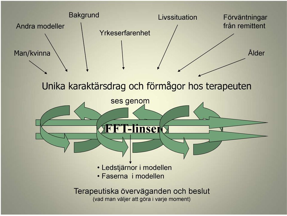 terapeuten ses genom FFT-linsen Ledstjärnor i modellen Faserna i