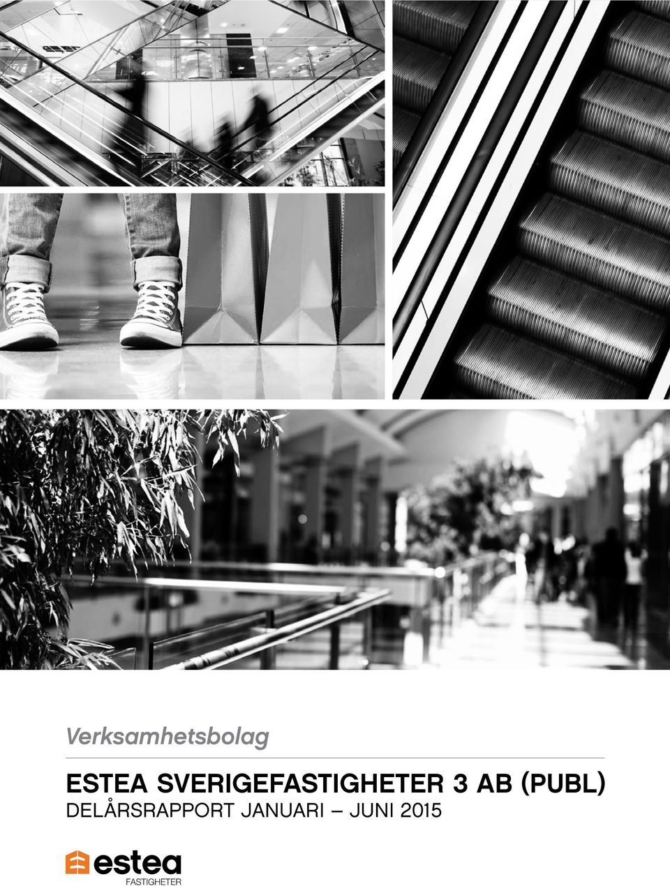 (PUBL) DELÅRSRAPPORT