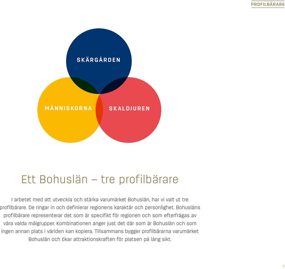 Bohusläns profilbärare representerar det som är specifikt för regionen och som efterfrågas av våra valda målgrupper.