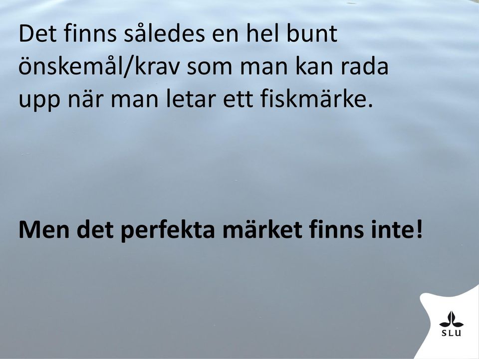 upp när man letar ett fiskmärke.