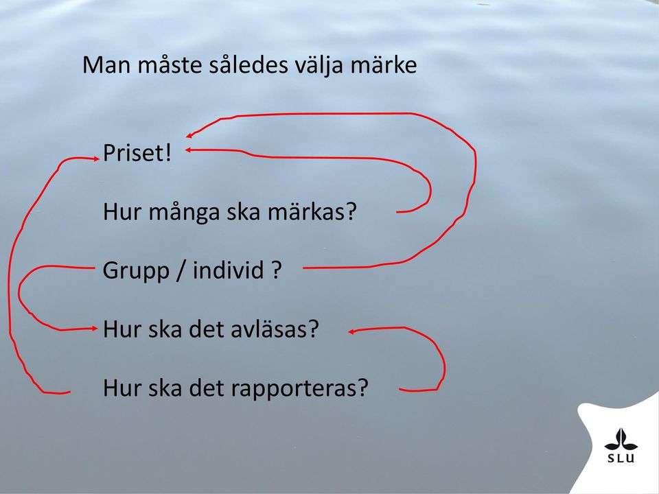 Grupp / individ?