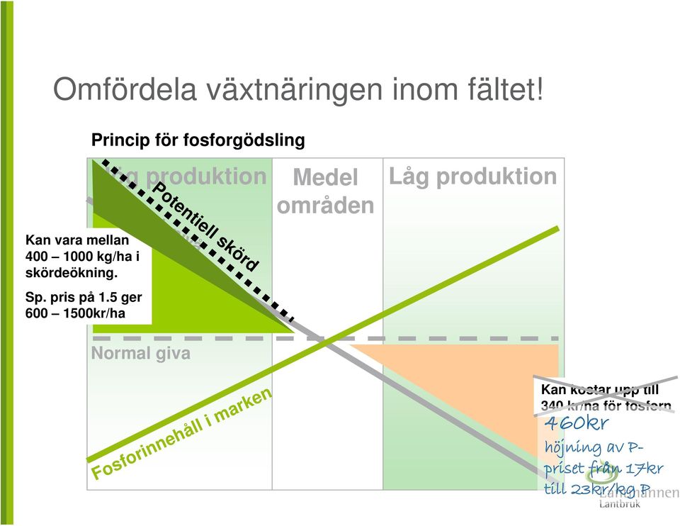 skörd Skördenivå Kan vara mellan 400 1000 kg/ha i skördeökning. Sp. pris på 1.