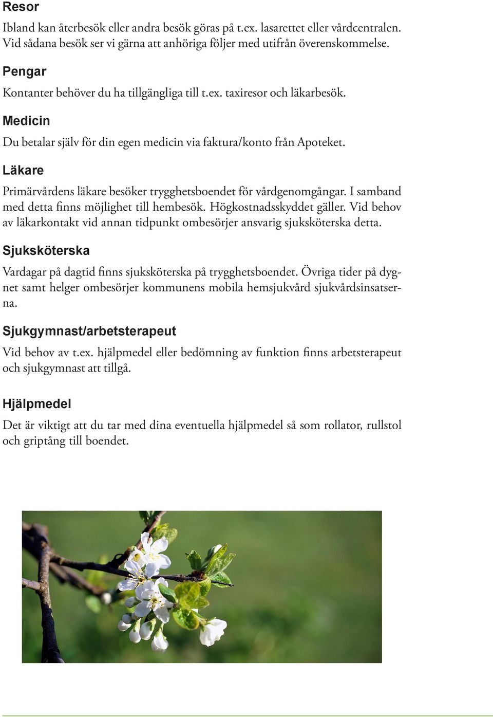Läkare Primärvårdens läkare besöker trygghetsboendet för vårdgenomgångar. I samband med detta finns möjlighet till hembesök. Högkostnadsskyddet gäller.