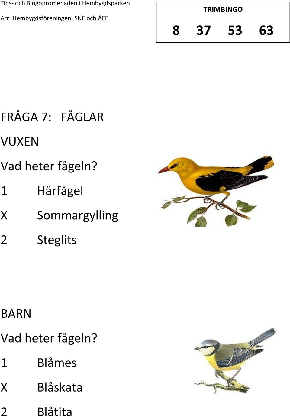 1 Härfågel Sommargylling 2