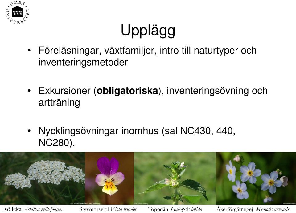 artträning Nycklingsövningar inomhus (sal NC430, 440, NC280).