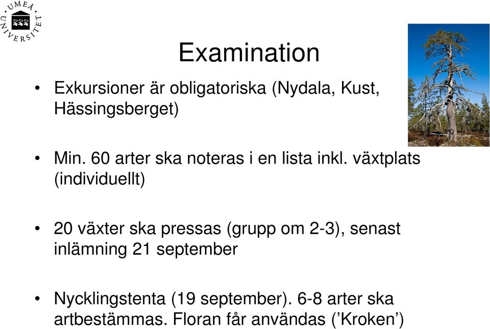 växtplats (individuellt) 20 växter ska pressas (grupp om 2-3), senast