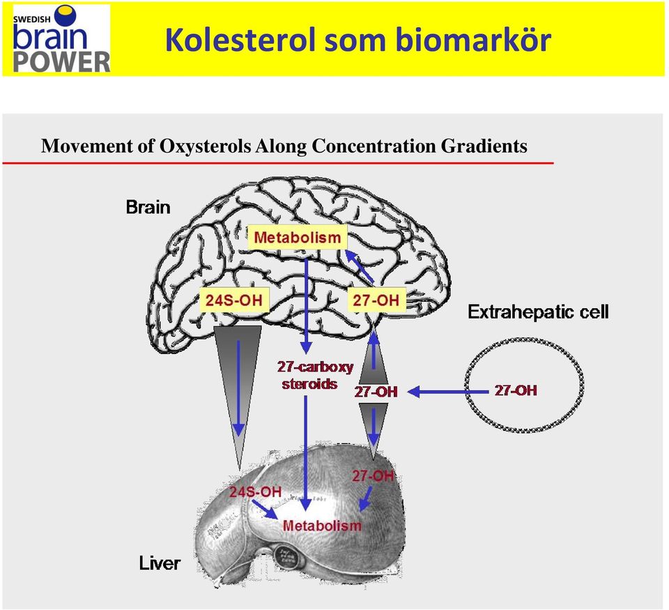 of Oxysterols Along