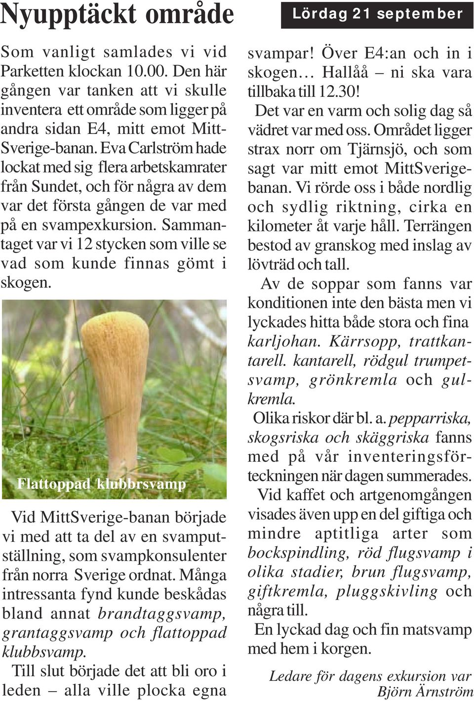 Sammantaget var vi 12 stycken som ville se vad som kunde finnas gömt i skogen.