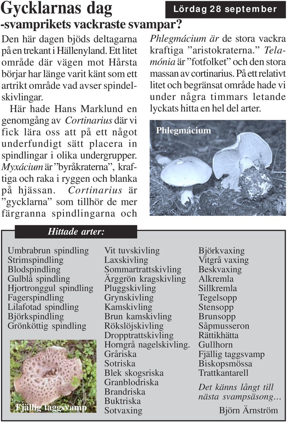 Här hade Hans Marklund en genomgång av Cortinarius där vi fick lära oss att på ett något underfundigt sätt placera in spindlingar i olika undergrupper.