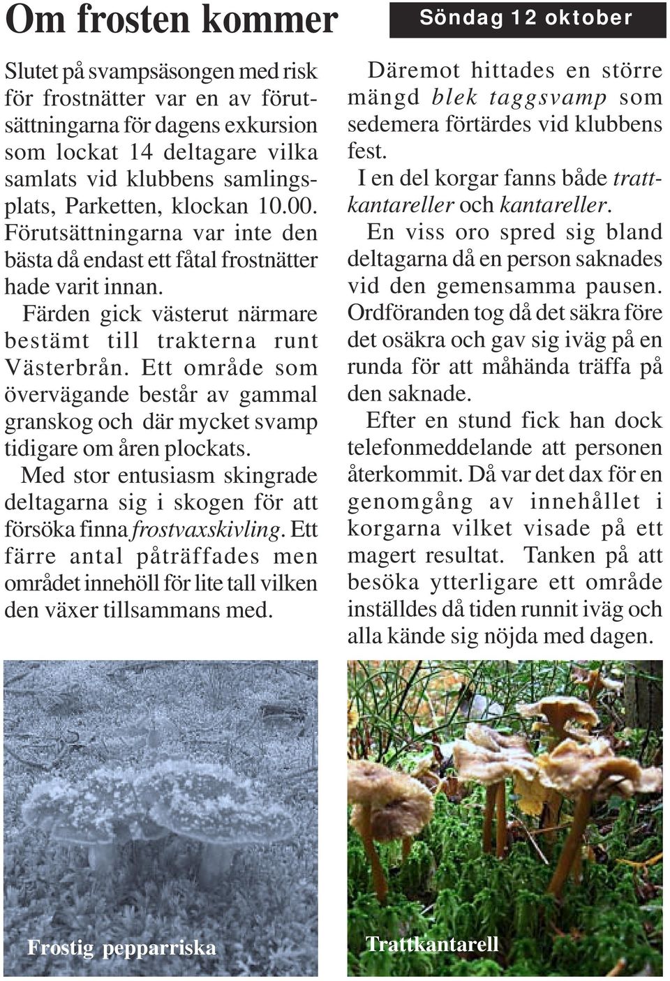 Ett område som övervägande består av gammal granskog och där mycket svamp tidigare om åren plockats. Med stor entusiasm skingrade deltagarna sig i skogen för att försöka finna frostvaxskivling.
