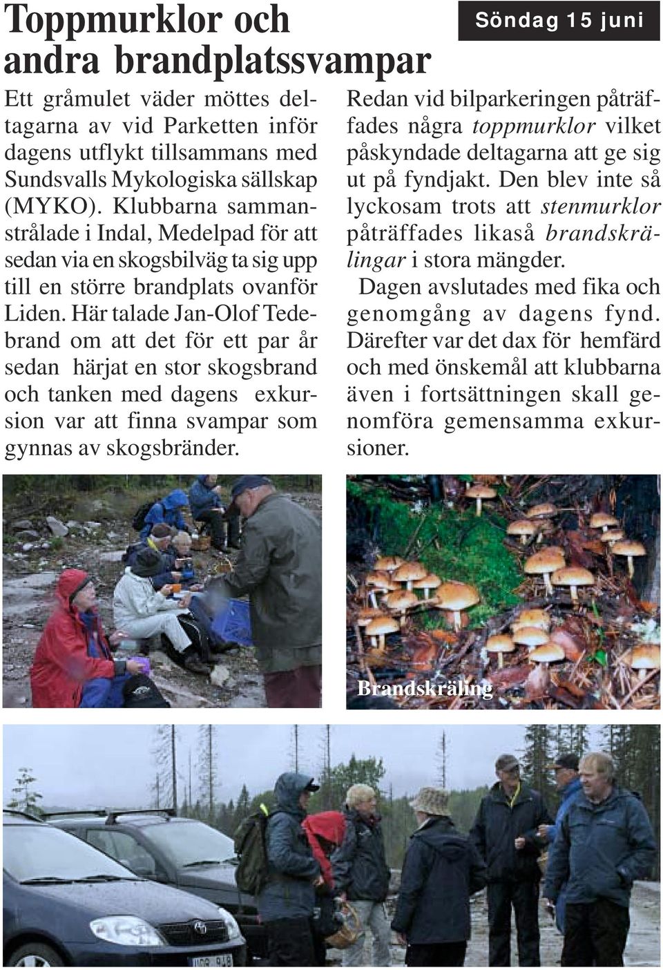 Här talade Jan-Olof Tedebrand om att det för ett par år sedan härjat en stor skogsbrand och tanken med dagens exkursion var att finna svampar som gynnas av skogsbränder.