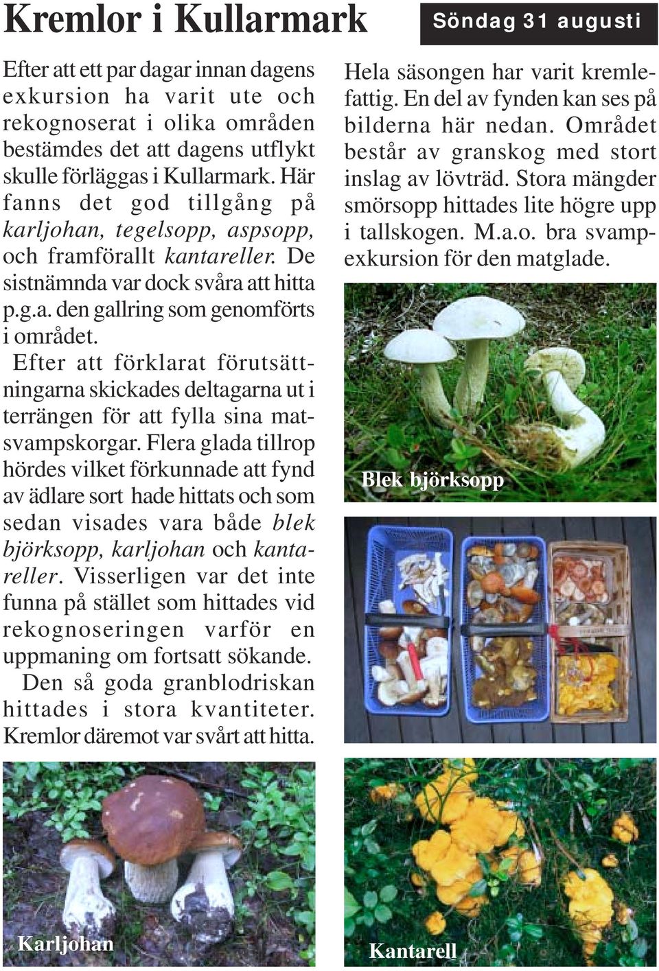 Efter att förklarat förutsättningarna skickades deltagarna ut i terrängen för att fylla sina matsvampskorgar.