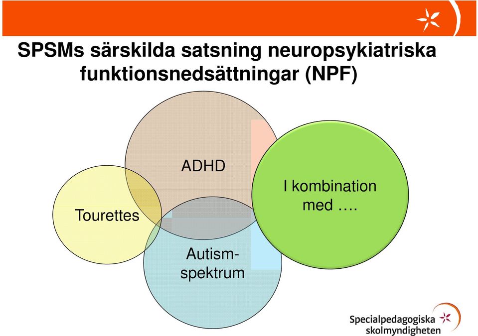 funktionsnedsättningar (NPF)