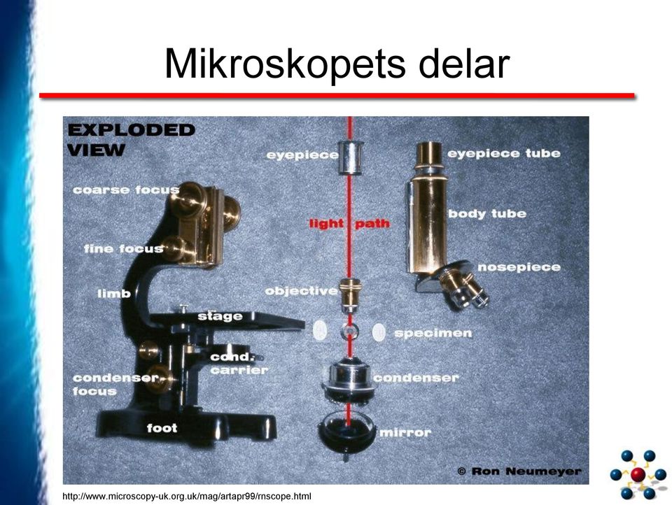 microscopy-uk.org.