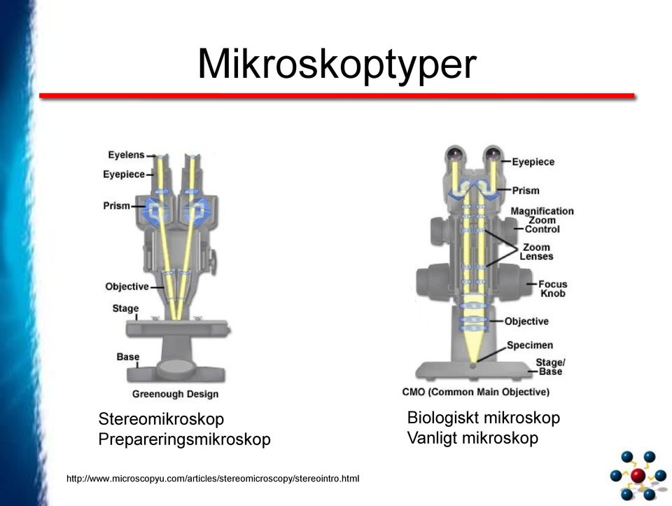 mikroskop Vanligt mikroskop http://www.