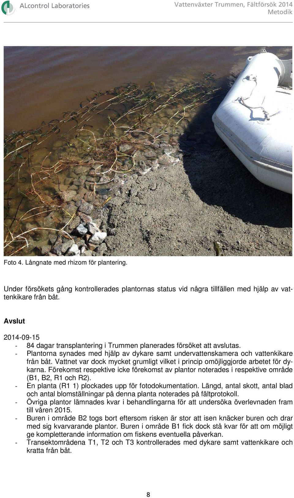 Vattnet var dock mycket grumligt vilket i princip omöjliggjorde arbetet för dykarna. Förekomst respektive icke förekomst av plantor noterades i respektive område (B1, B2, R1 och R2).