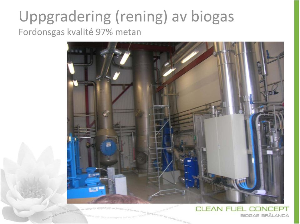 biogas