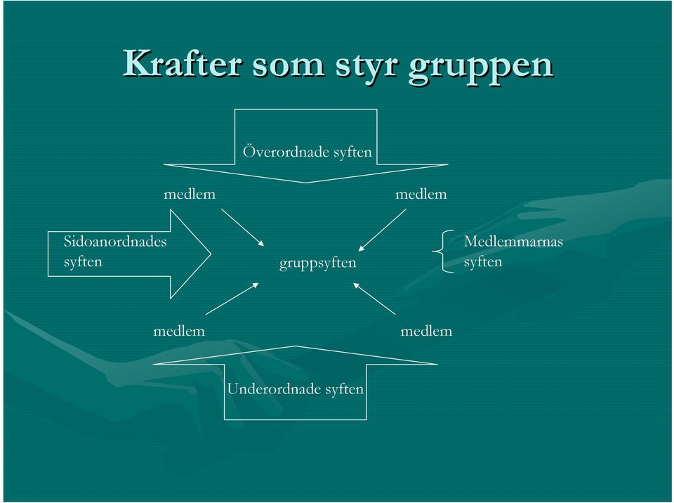 syften gruppsyften Medlemmarnas