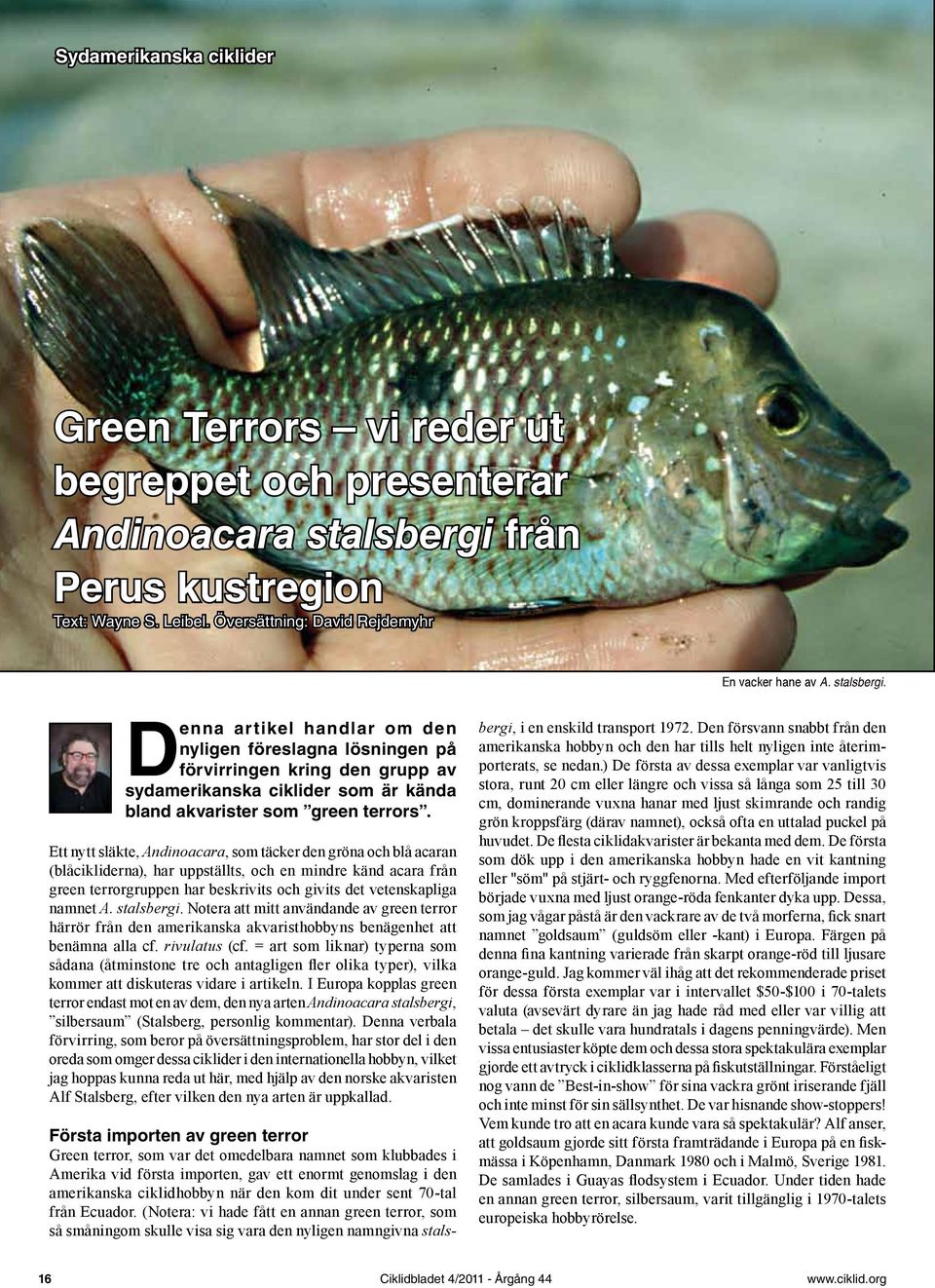 Ett nytt släkte, Andinoacara, som täcker den gröna och blå acaran (blåcikliderna), har uppställts, och en mindre känd acara från green terrorgruppen har beskrivits och givits det vetenskapliga namnet