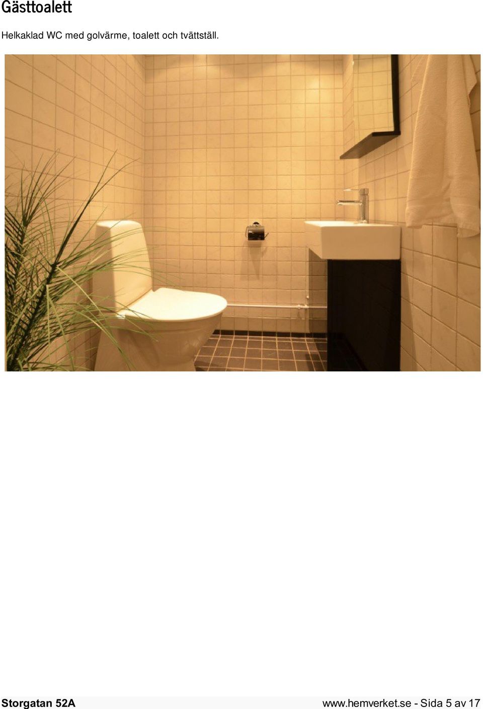 toalett och tvättställ.