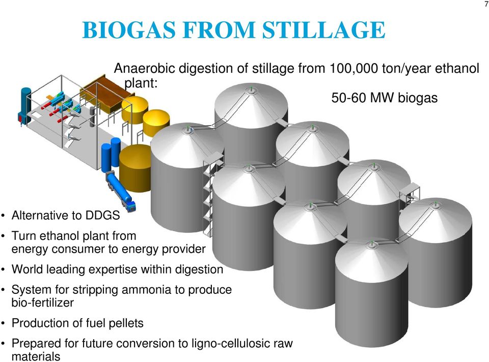 provider World leading expertise within digestion System for stripping ammonia to produce