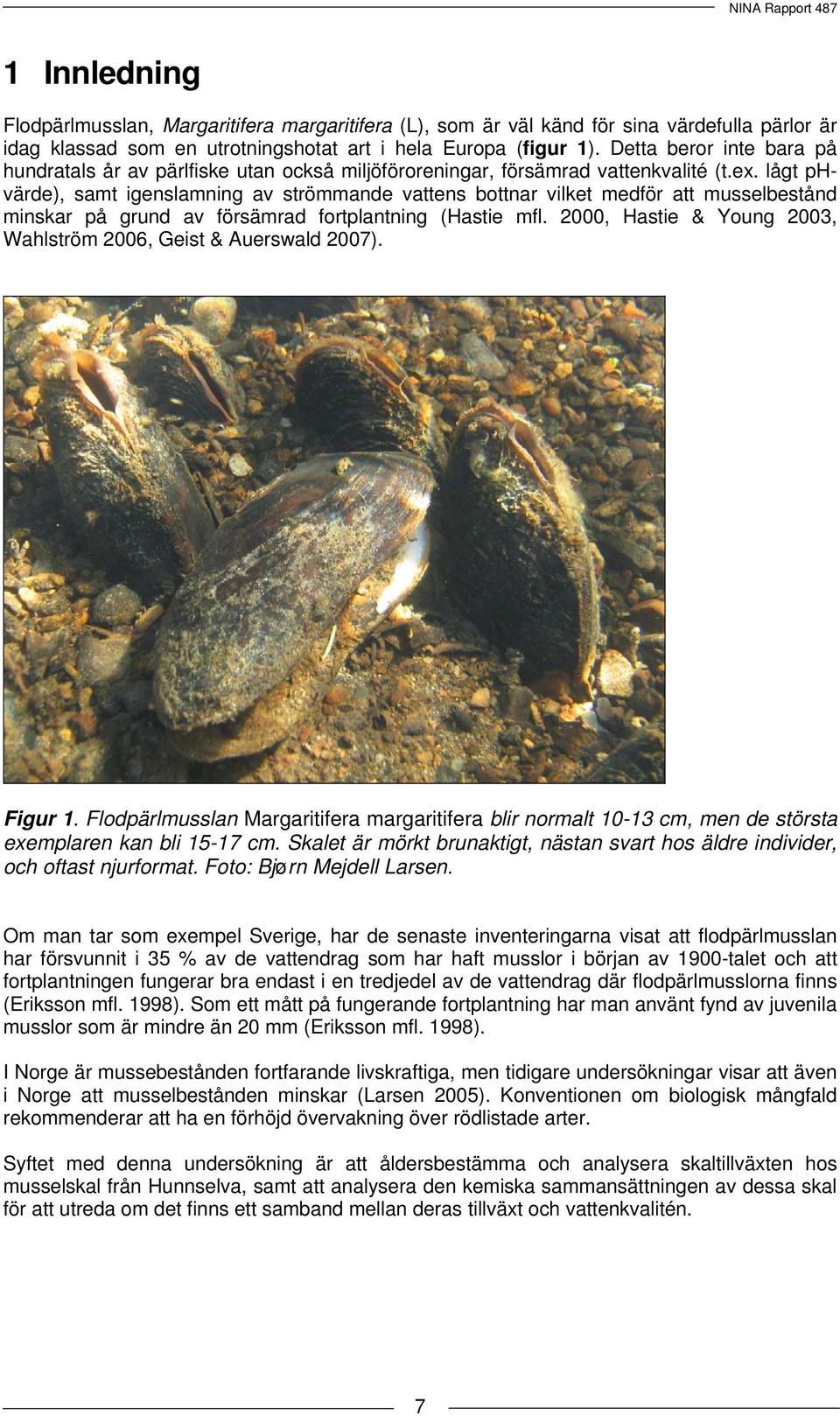 lågt phvärde), samt igenslamning av strömmande vattens bottnar vilket medför att musselbestånd minskar på grund av försämrad fortplantning (Hastie mfl.