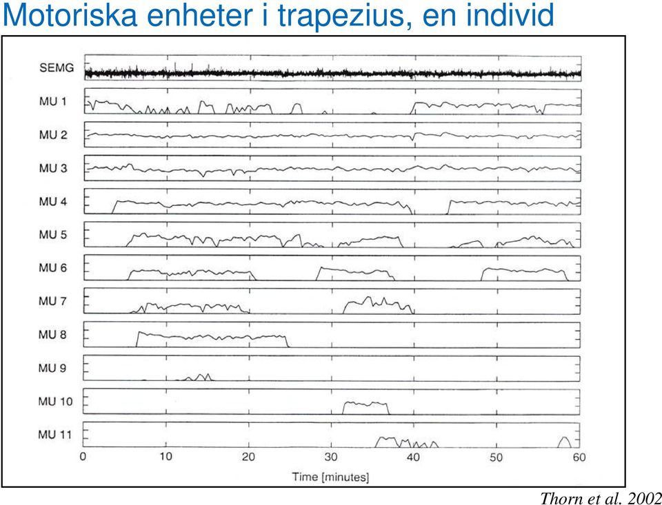 trapezius, en