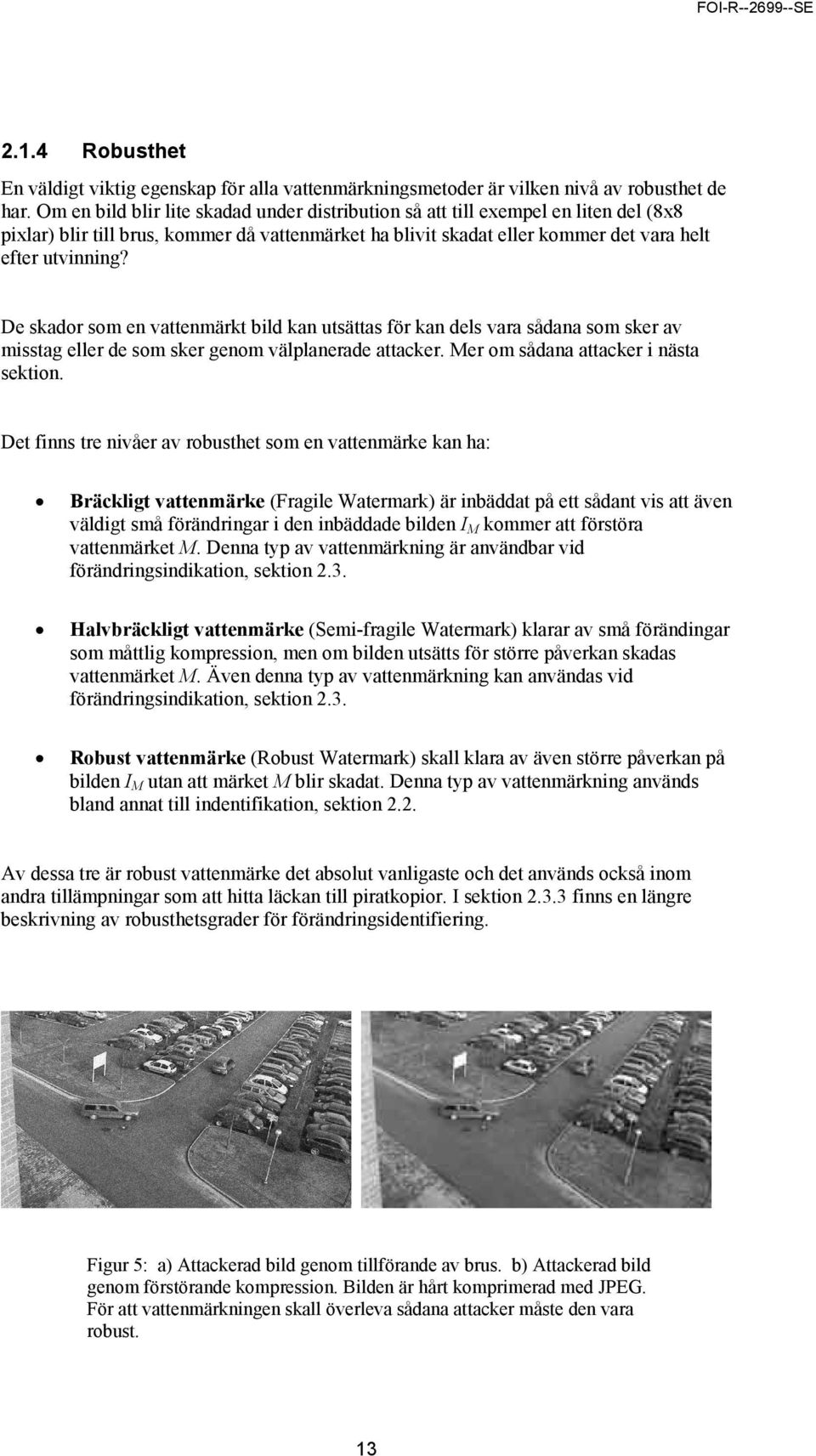 De skador som en vattenmärkt bild kan utsättas för kan dels vara sådana som sker av misstag eller de som sker genom välplanerade attacker. Mer om sådana attacker i nästa sektion.