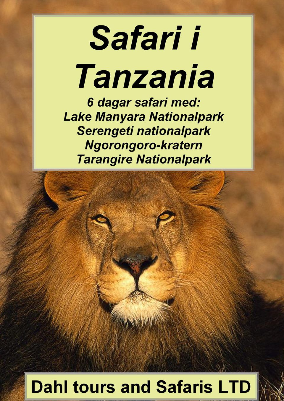 nationalpark Ngorongoro-kratern