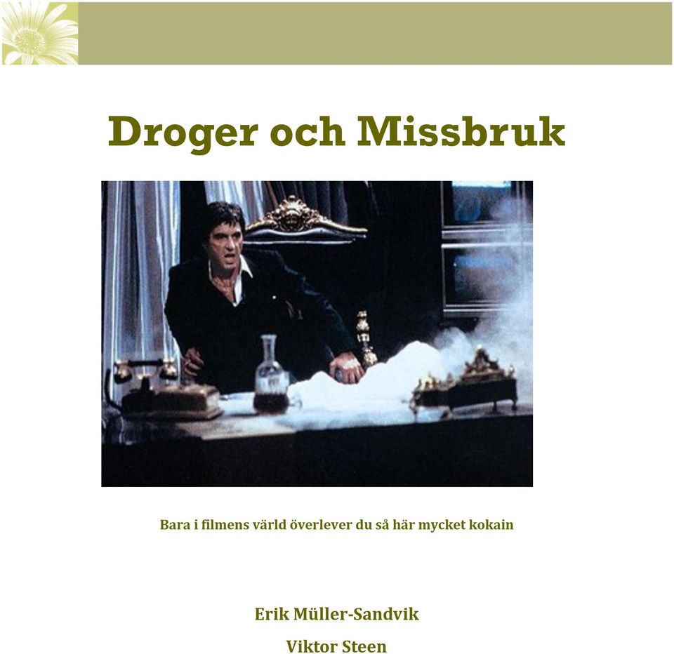 så här mycket kokain Erik