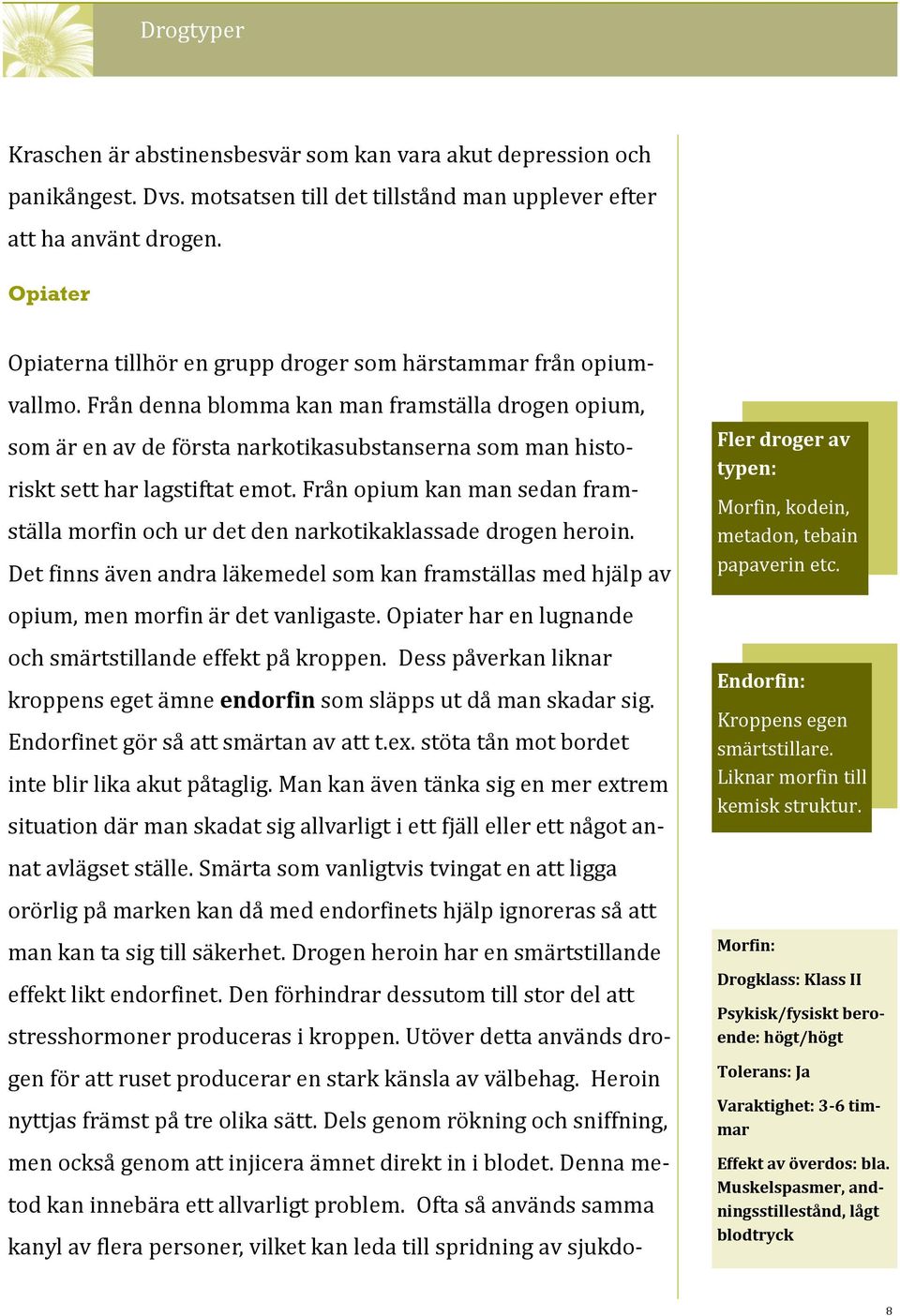 Från denna blomma kan man framställa drogen opium, som är en av de första narkotikasubstanserna som man historiskt sett har lagstiftat emot.
