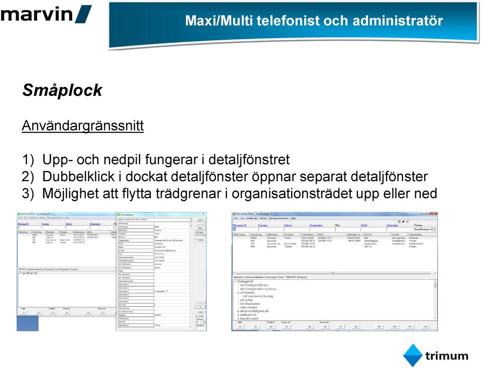 detaljfönstret 2) Dubbelklick i dockat detaljfönster öppnar