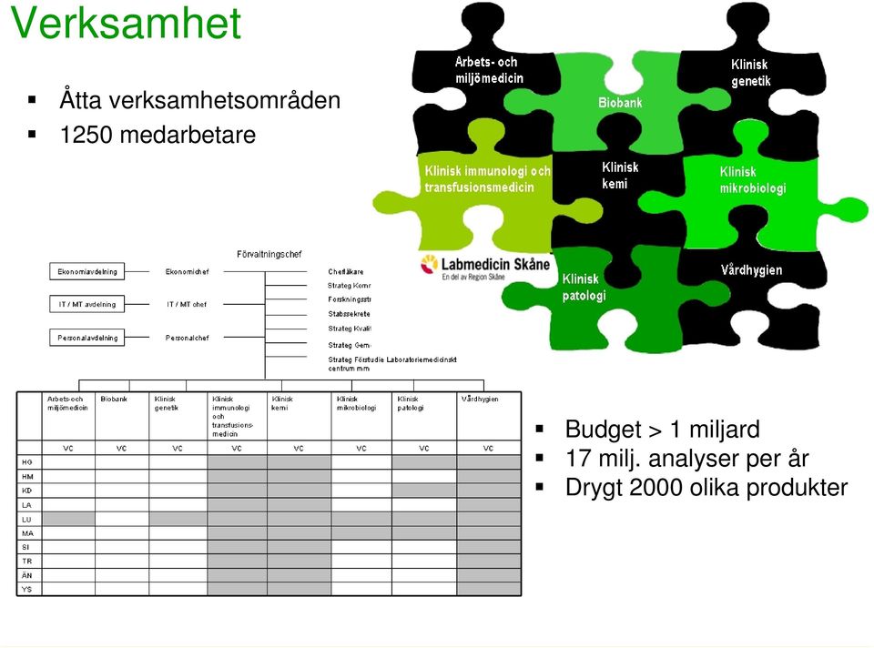 medarbetare Budget > 1 miljard