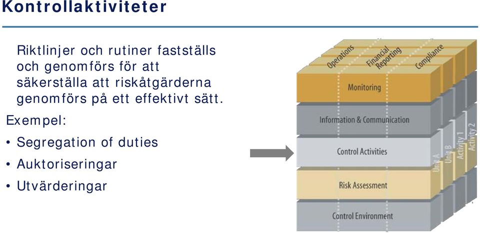 riskåtgärderna genomförs på ett effektivt sätt.